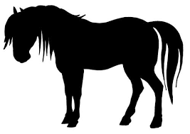 Somebody put that high horse