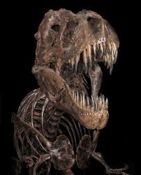 and children's t rex - via Daymix