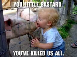 H1N1 Swine Flu Vaccine- Baxter Drugs and You