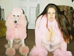The Furry and the