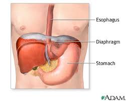  Anti-Reflux Surgery 