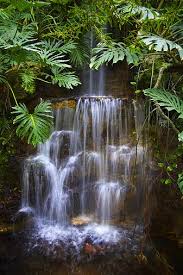 Rainforest Waterfall 20060416 - via Daymix