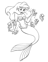 Ariel Transparent by