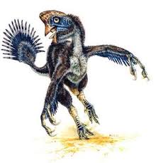 New dinosaur a turkey - World - via Daymix