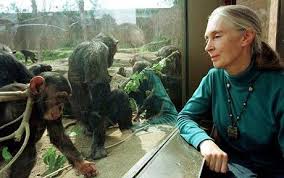 Jane Goodall: The - via Daymix
