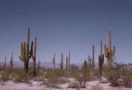 Arizona Webring - via Daymix