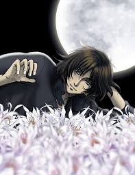   wolf x26s rain   CHOBITS