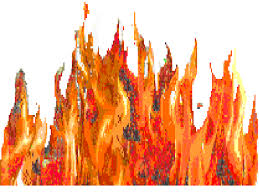 fire Why would you be wild