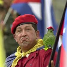 Chavez icon