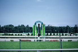 日本中央競馬会の画像7