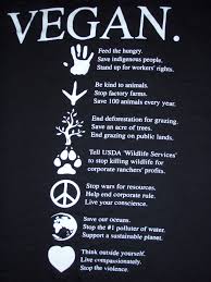 Image: 7 Vegan messages - via Daymix