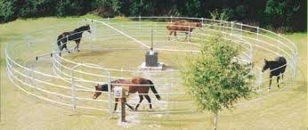 with Freestyle Horse Exerciser