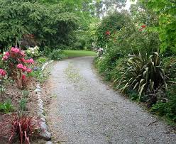 the  driveway   in november