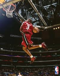 Dwyane Wade Picture 2