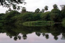 Adyar