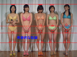 短足の画像1