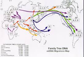  courtesy of Family Tree DNA