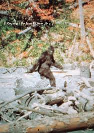 of the Sasquatch. - via Daymix