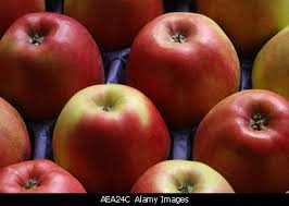 Pictures of Apples/ apple - via Daymix