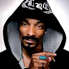 Image <b>Snoop</b> at Lollapalooza Picture