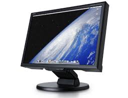 NEC MultiSync LCD205WXM