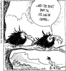 low-carb-funny.gif - via Daymix