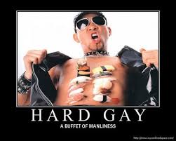 about gay culture made him
