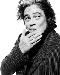 Image <b>Benicio del Toro</b> Picture