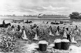 Slaves