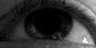 http://images.wikilingue.com/b/b6/Optokinetic_nystagmus.gif