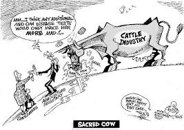 Mad Cow Dissed - via Daymix