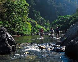 for mountain bike tours.