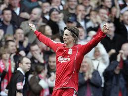 Fernando Torres Picture 4