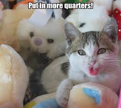 put