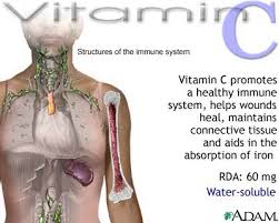 Image <b>Vitamin C</b> benefit Picture