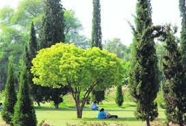 ... Kurukshetra University campus in ...