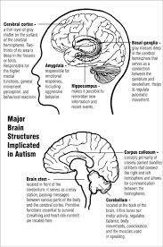http://www.autism.com/index. - via Daymix
