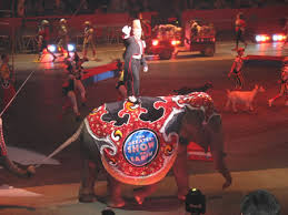 Ringling Brothers Barnum and Bailey