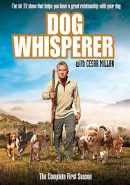 Dog Whisperer with Cesar - via Daymix