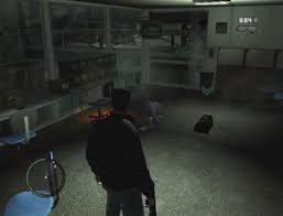 Grand Theft Auto 4 Guide