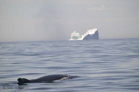 Atlantic Ocean Picture - via Daymix