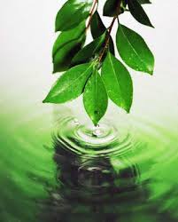 Essential Oils Benefits and - via Daymix