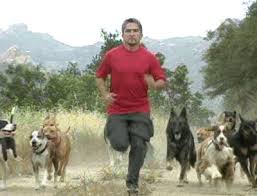 The Dog Whisperer - via Daymix