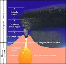 Cross-sectional model