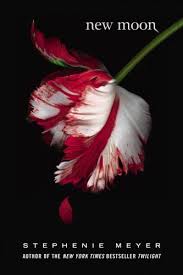 'The Twilight Saga: New Moon' - via Daymix