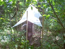 Back view of  malaise  trap.
