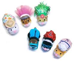 finding Zhu Zhu Pets for - via Daymix