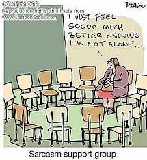 Sarcasm Support Group - via Daymix