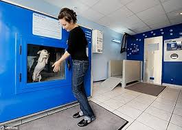 Automatic Dog Washer!