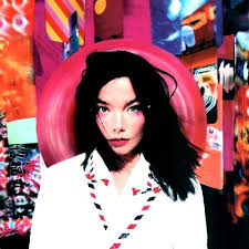 Bjork Picture 2